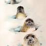 Collection Snowy Creatures