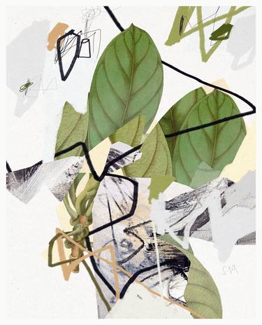 Original Abstract Expressionism Nature Photography by Sander Steins