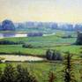 Collection Landscapes