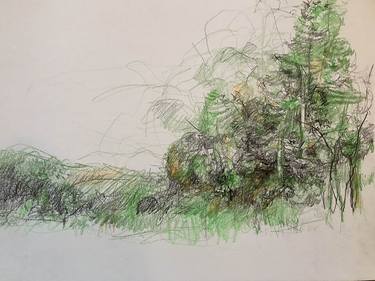 Original Realism Landscape Drawing by Carol Heft